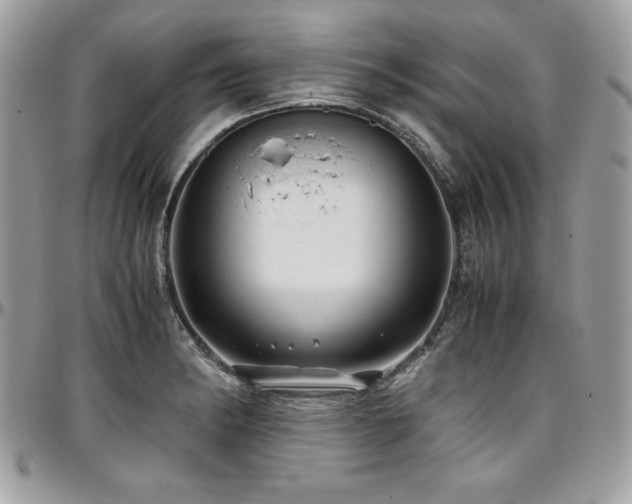 X0000097301182200802151431