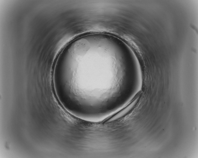 X0000097301183200802151431