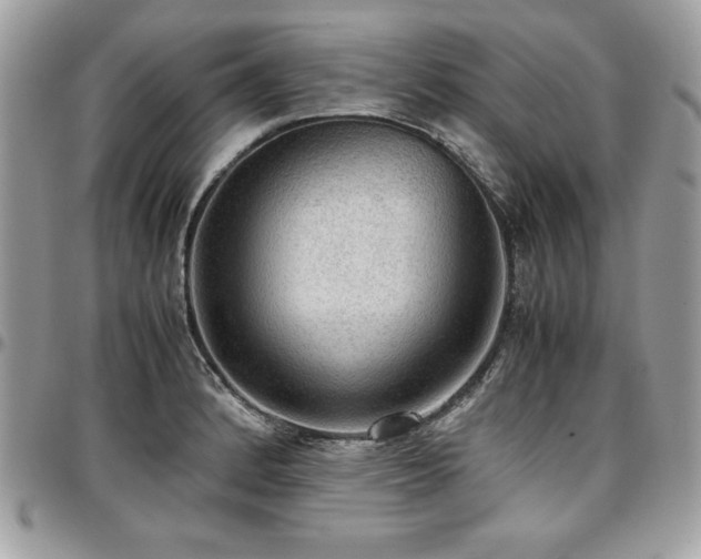 X0000097301184200802151431