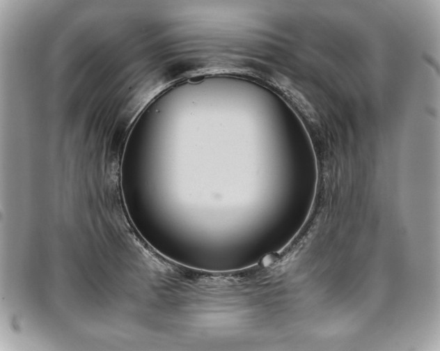 X0000097301185200802151431