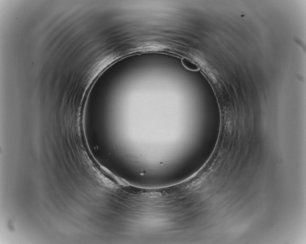 X0000097301186200802151431