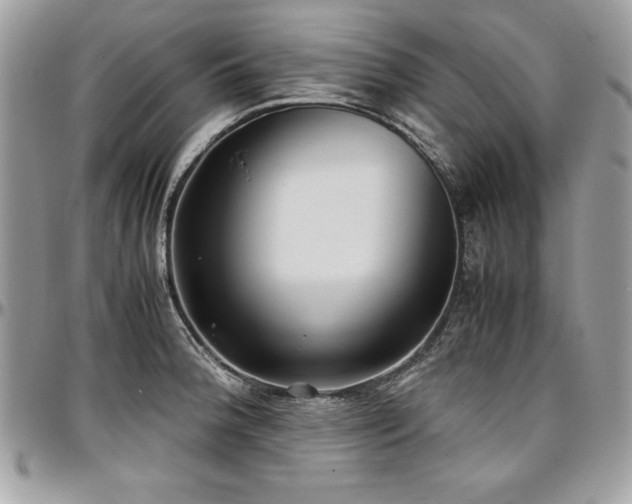X0000097301188200802151431