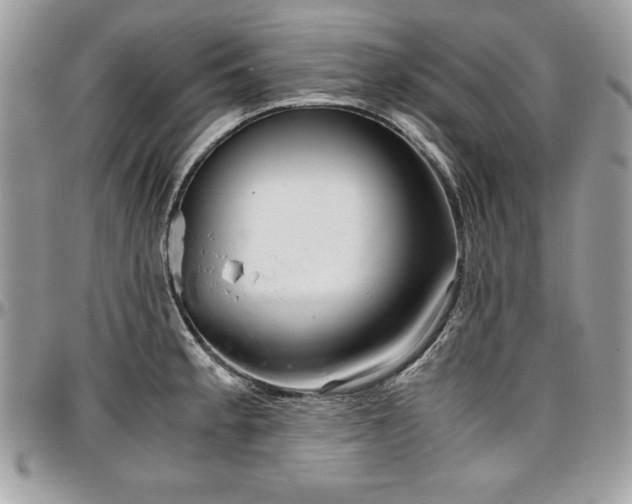 X0000097301189200802151431