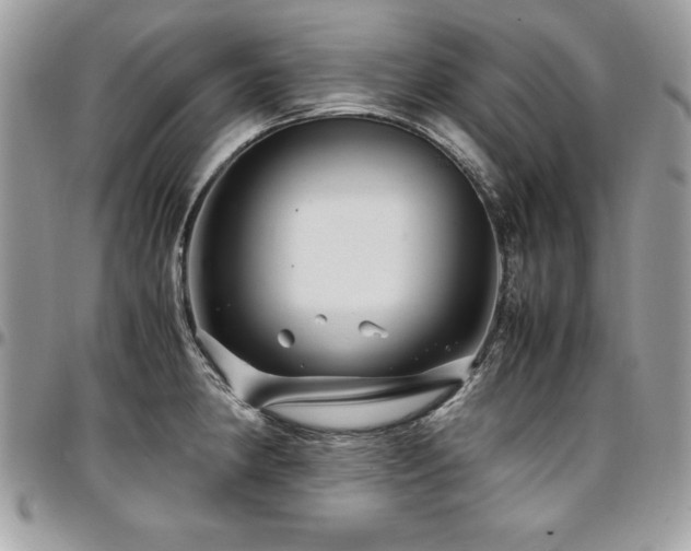 X0000097301190200802151431
