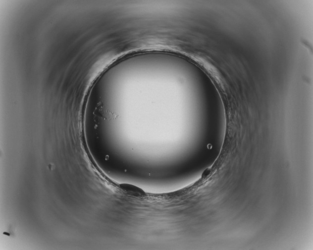 X0000097301191200802151431