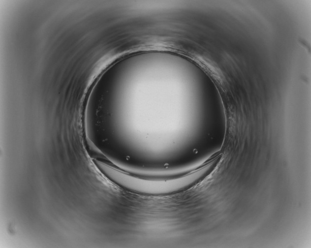 X0000097301192200802151431