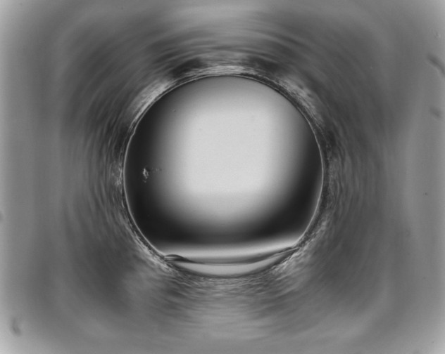 X0000097301193200802151431