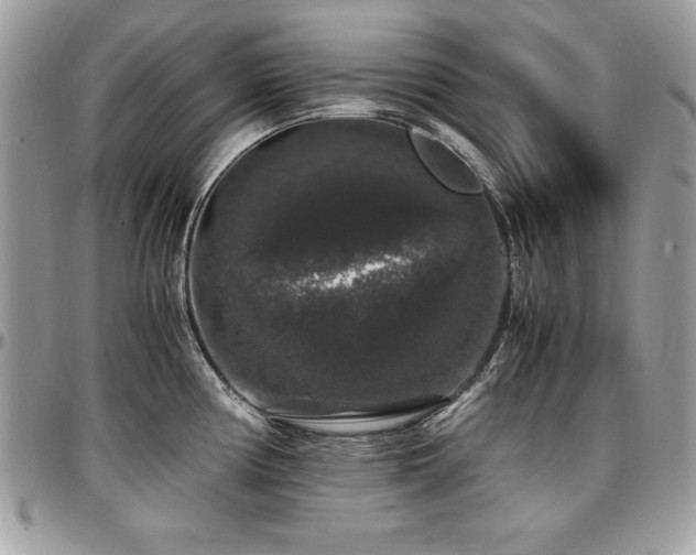 X0000097301194200802151431