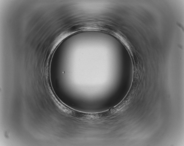 X0000097301195200802151431
