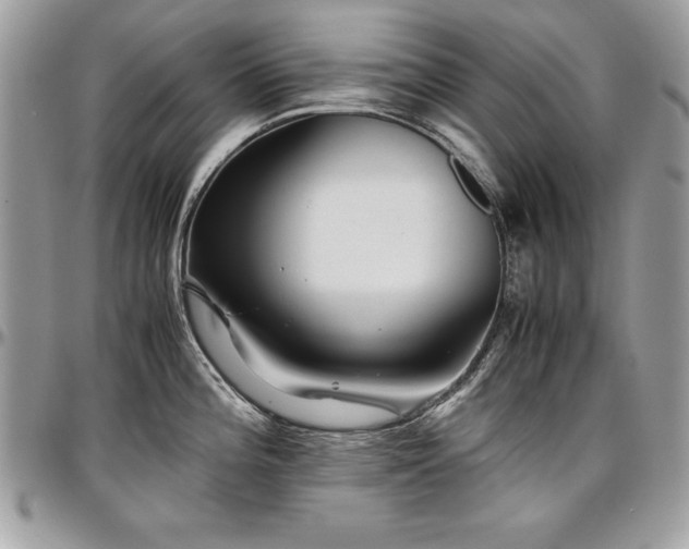 X0000097301196200802151431