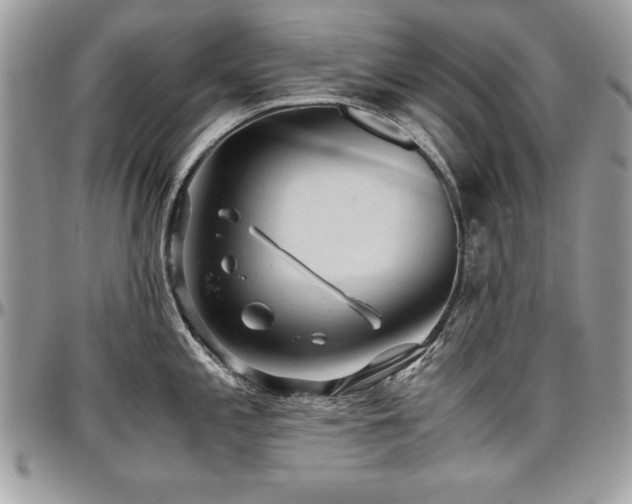 X0000097301197200802151431