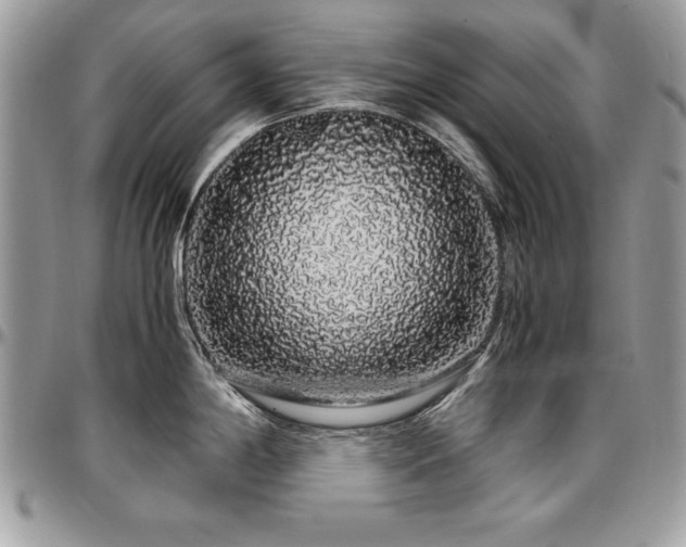 X0000097301198200802151431