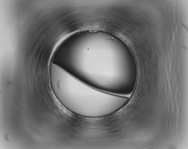 X0000097301200200802151431