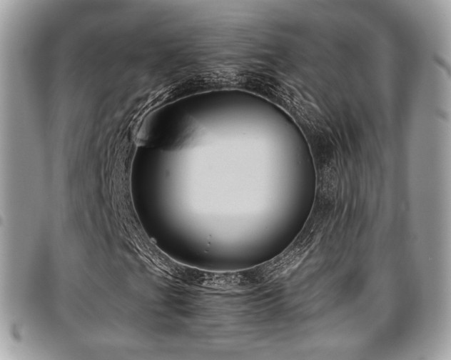 X0000097301201200802151430