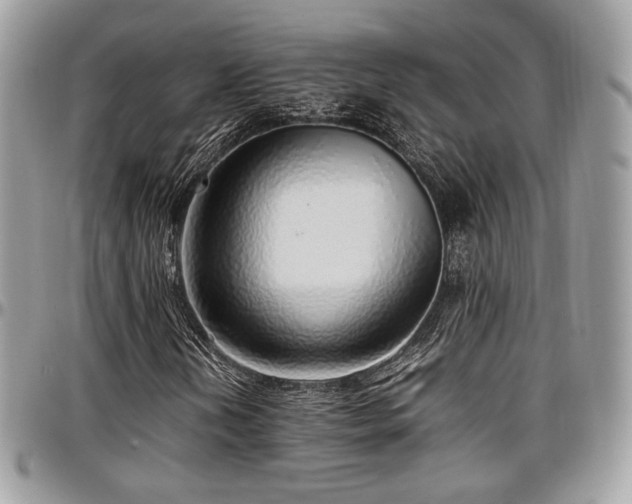 X0000097301202200802151430