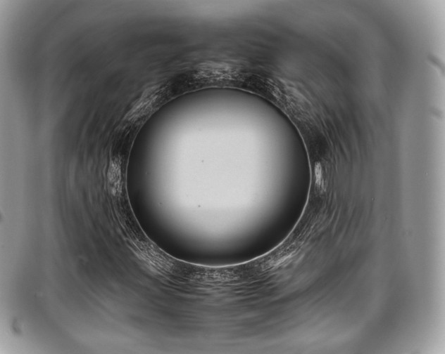 X0000097301203200802151430