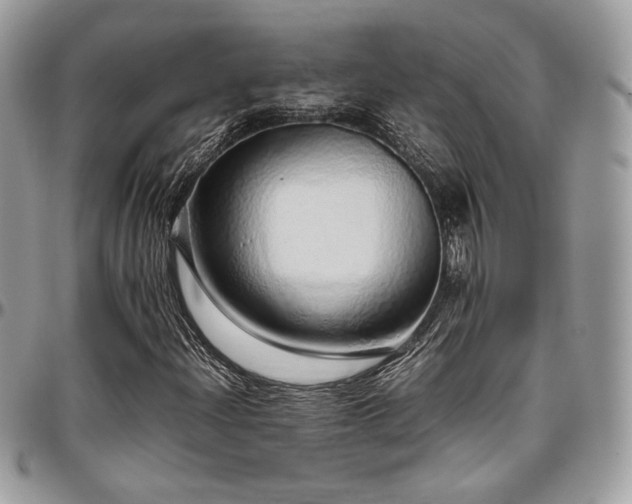 X0000097301204200802151430