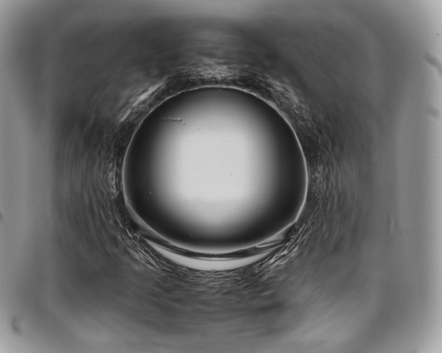 X0000097301205200802151430