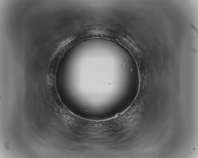 X0000097301207200802151430