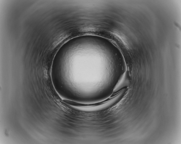 X0000097301209200802151430