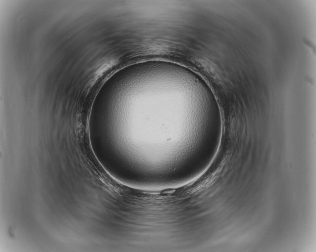 X0000097301210200802151430