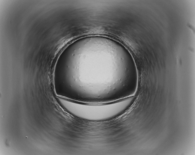 X0000097301212200802151430