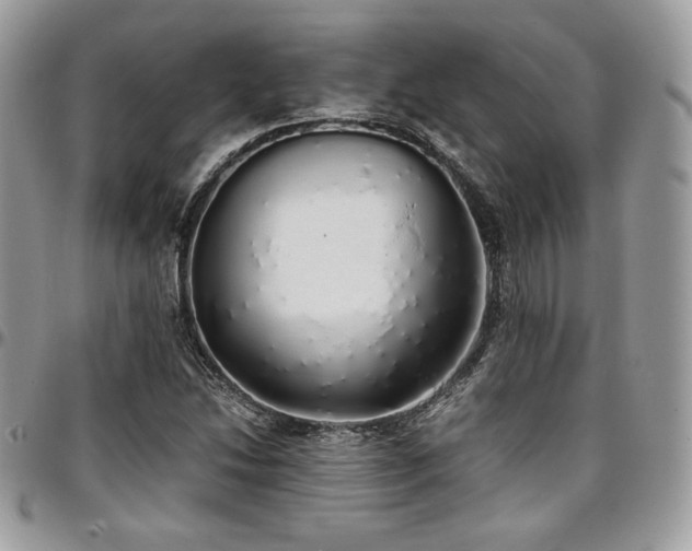 X0000097301214200802151430