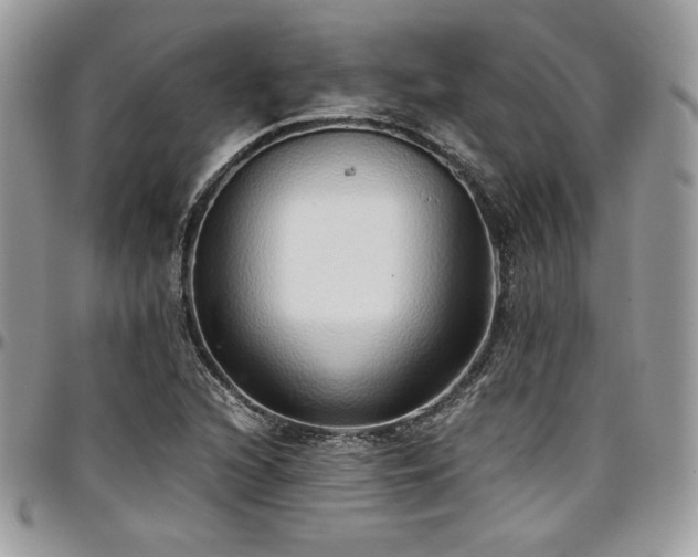 X0000097301216200802151431