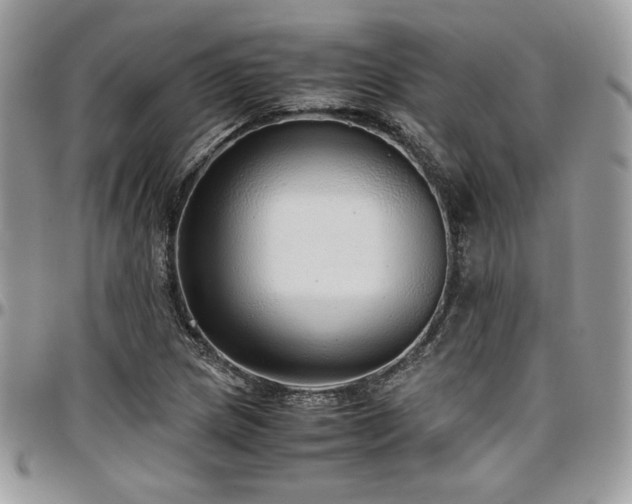 X0000097301217200802151431