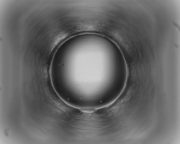 X0000097301218200802151431