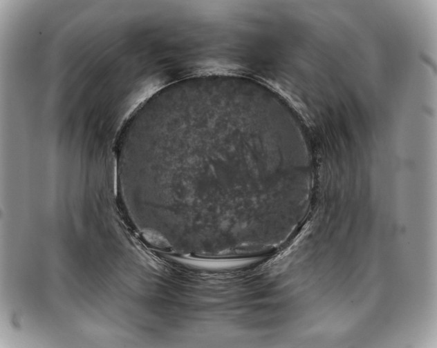 X0000097301219200802151431