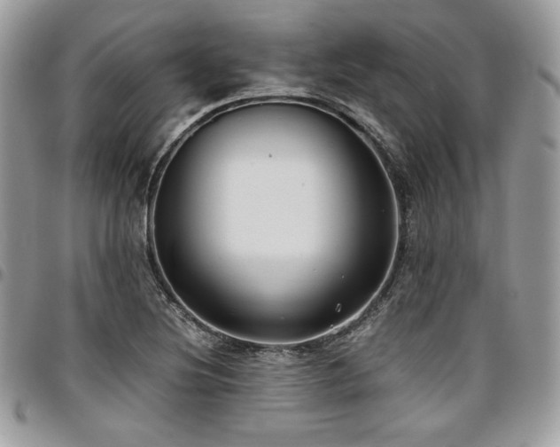 X0000097301220200802151431