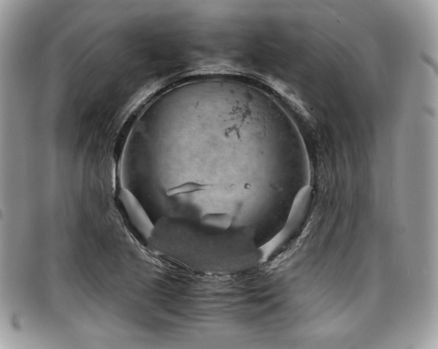 X0000097301221200802151431