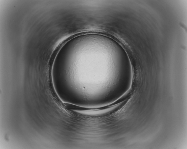 X0000097301222200802151431