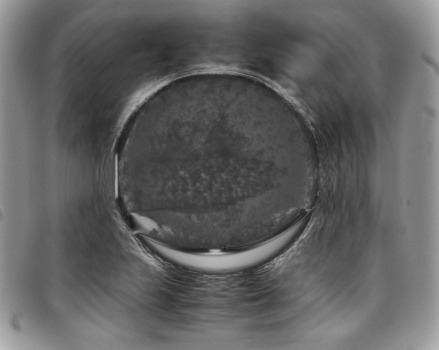 X0000097301223200802151431