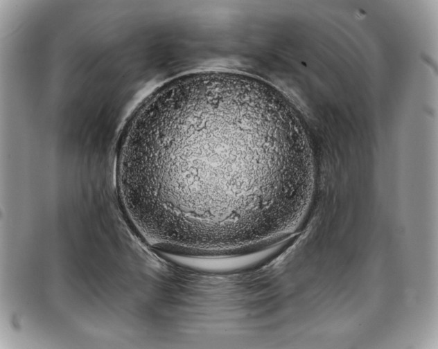 X0000097301224200802151431