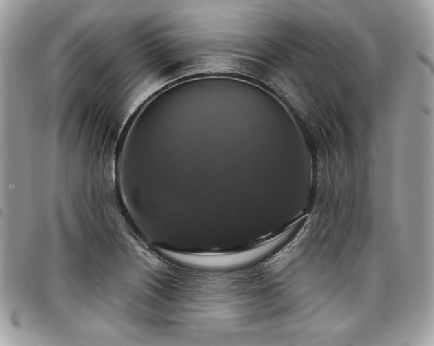 X0000097301226200802151431