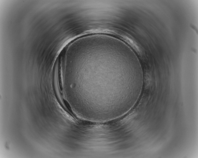 X0000097301228200802151431