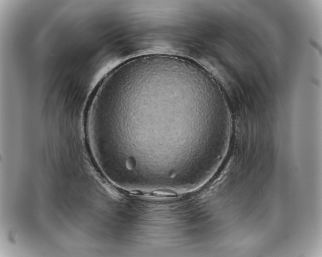 X0000097301230200802151431