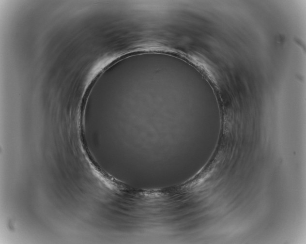 X0000097301231200802151431