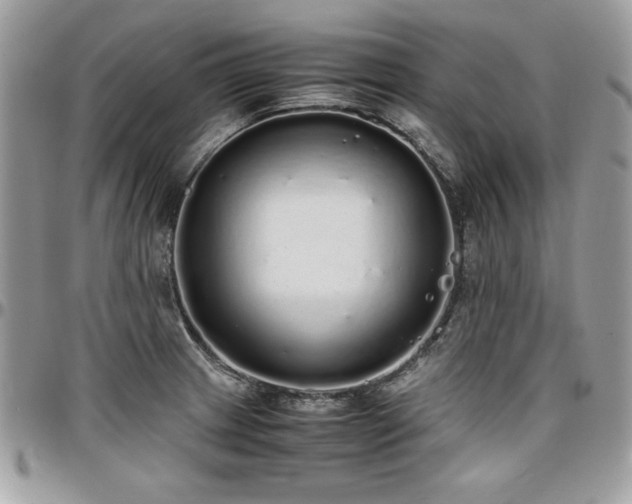 X0000097301233200802151431
