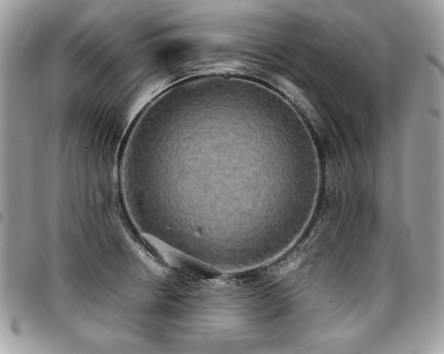 X0000097301234200802151431