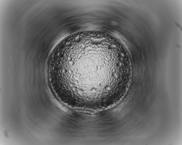 X0000097301235200802151431