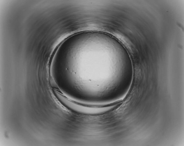X0000097301238200802151431