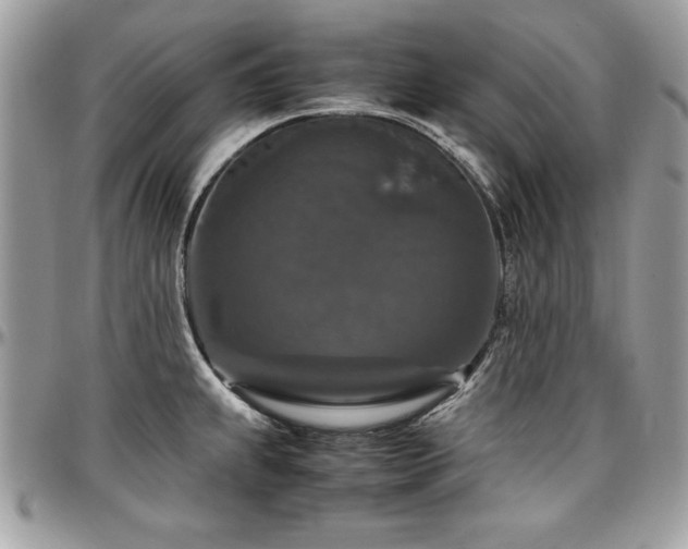 X0000097301239200802151431