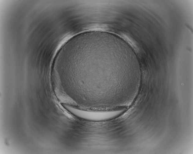 X0000097301240200802151431