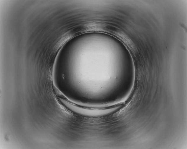 X0000097301241200802151431