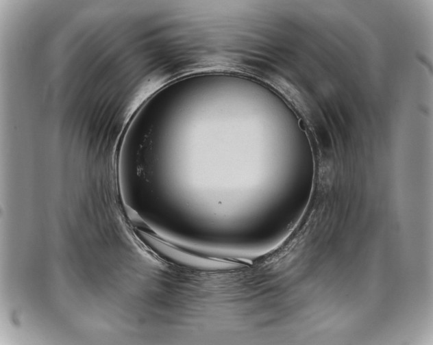 X0000097301242200802151431