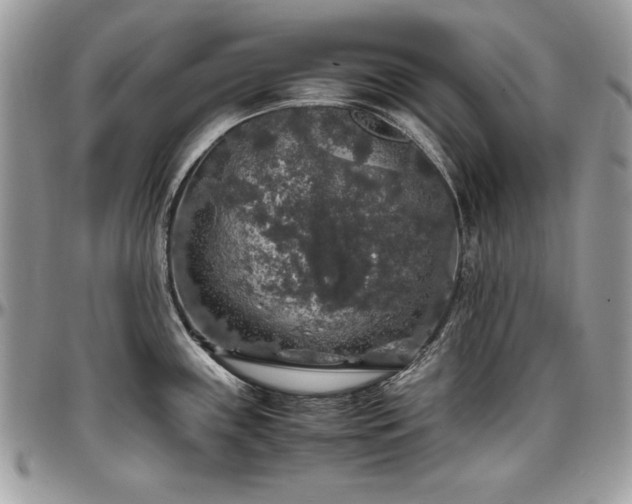 X0000097301243200802151431