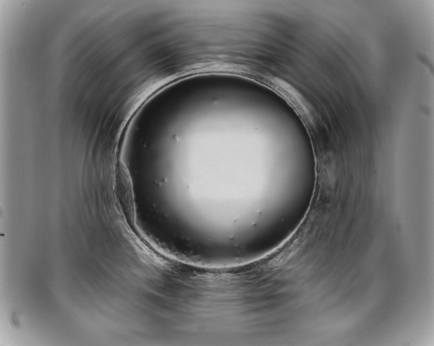 X0000097301244200802151431